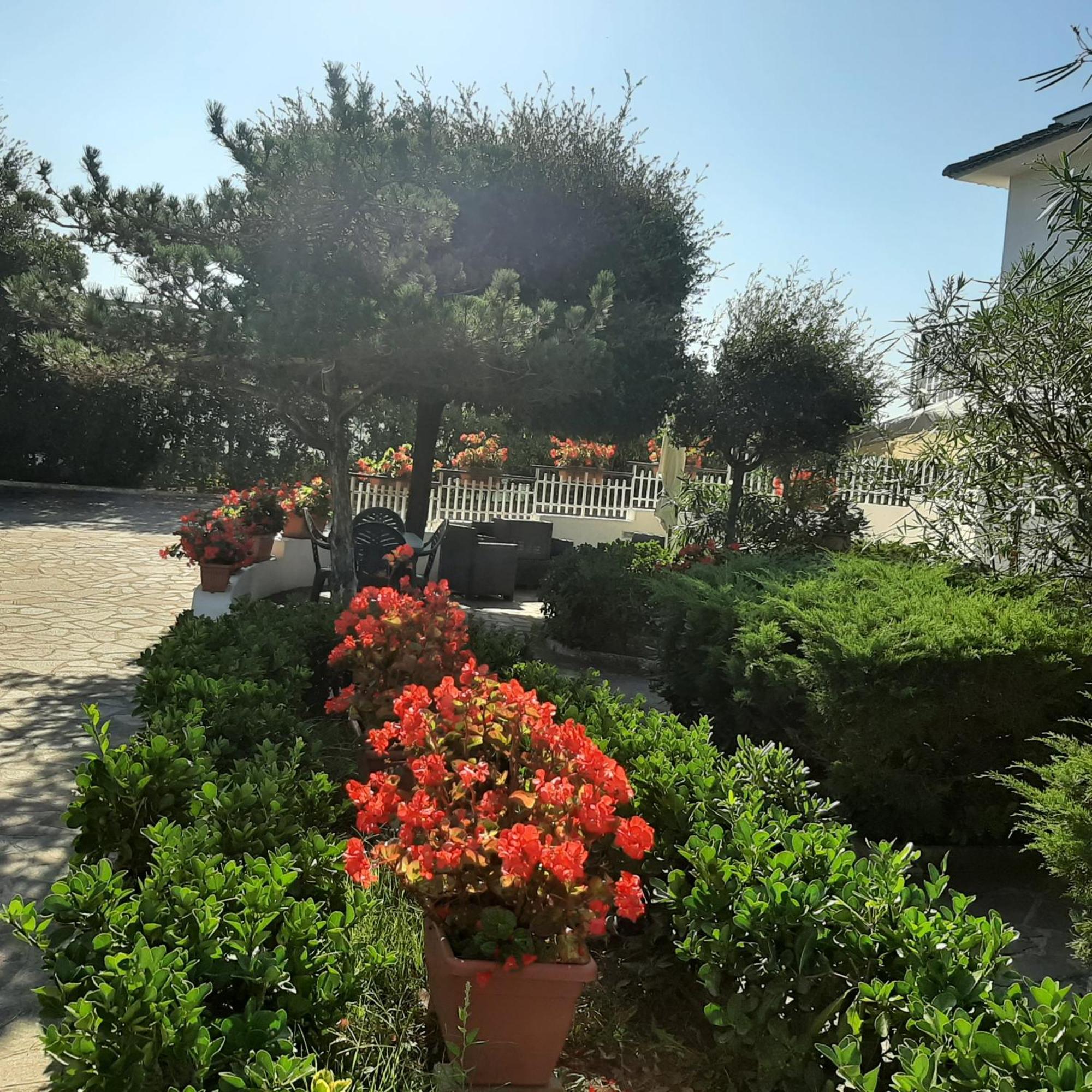 מינטורנו Appartamento In Villa Valentini, Fronte Mare, Giardino E Parcheggio Privato, Wifi, Dotato Di Tutti I Confort, Nel Golfo Di Gaeta מראה חיצוני תמונה